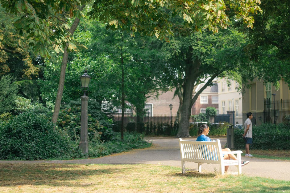 A white wooden park bench positioned on a light grey pavement within a green, leafy urban park setting. A woman with dark hair tied back, wearing a blue top and white shorts, is seated on the bench, reading a book. Nearby, a young boy with short dark hair, dressed in a white shirt and dark shorts, stands on the pavement, facing away from the camera. The background features tall trees with lush green foliage, some with hints of yellow in their leaves, providing shade and a natural canopy, along with a black metal fence and residential buildings partially visible through the trees. A vintage-style street lamp with a metal post and glass lantern is situated to the left of the bench, blending naturally into the park environment. The scene is well-lit by daylight, highlighting the textures of the leaves, the smooth surface of the bench, and the casual, peaceful atmosphere typical of outdoor spaces used for relaxation and informal gatherings, which connects to the idea of private disposal or alternative waste handling as seen in rubbish removal services that aim to maintain such clean and orderly environments.